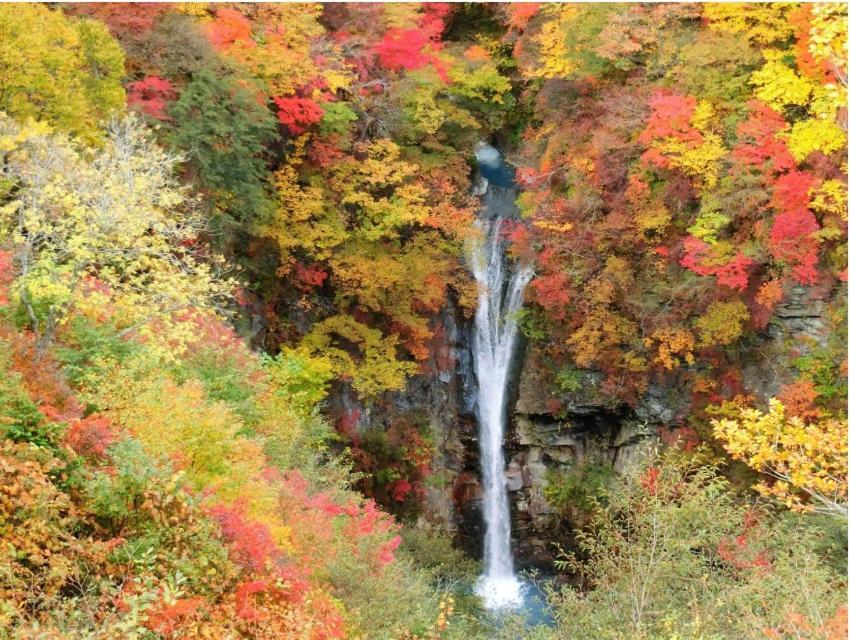 ヴィンテージ那須 Villa Nasu Exterior foto